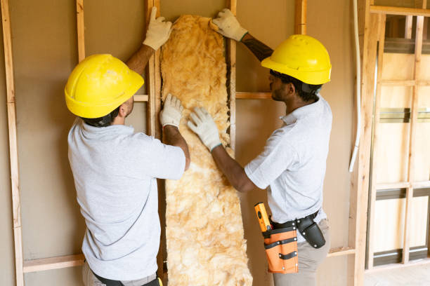 Eco-Friendly or Green Insulation Solutions in Livingston, AL